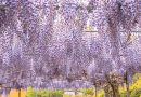 生きる責任と慟哭　畠山　公