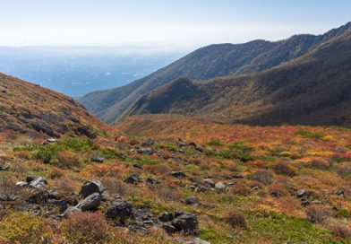 「キリストは私たちの平和」　　角田秀明
