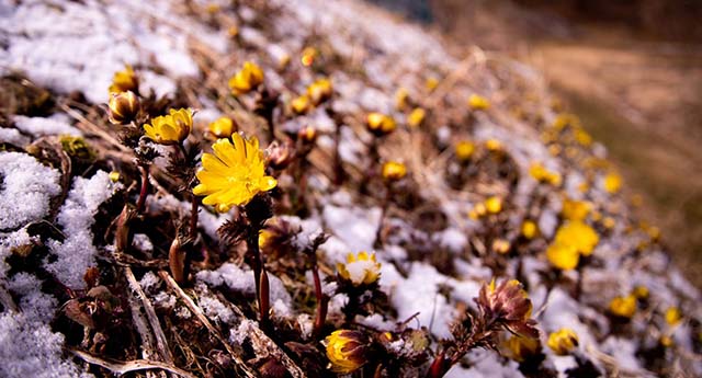 戦後80年 私と『あの日』　内田 文二