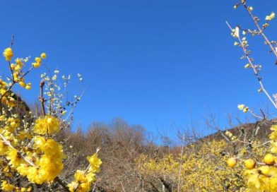 キリストが歩まれている道　　　　　　　　　飯島　信