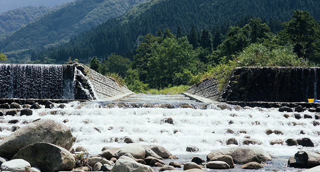 第23回新潟共助会報告　　　　　鈴木　孝二