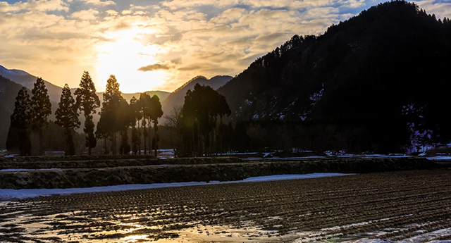 戦後80年　笑みなき赤子 　　安積 力也