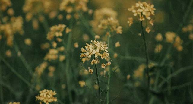 戦後80年 私の少年時代　　助川　暢