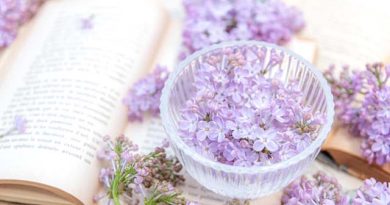 小豆島　　林 貞子