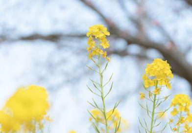 だから目を覚ましていなさい　　　井川 満