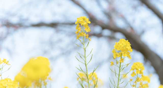 だから目を覚ましていなさい　　　井川 満