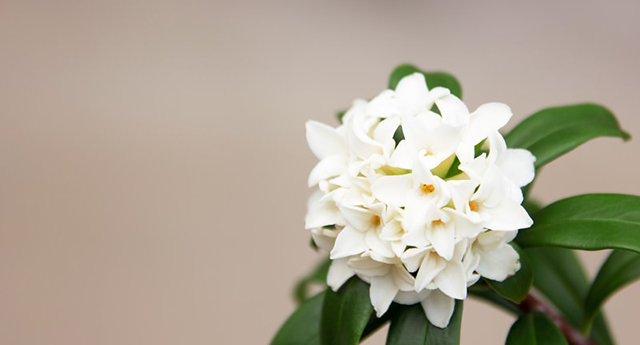 反転する時代の中で    山本 精一