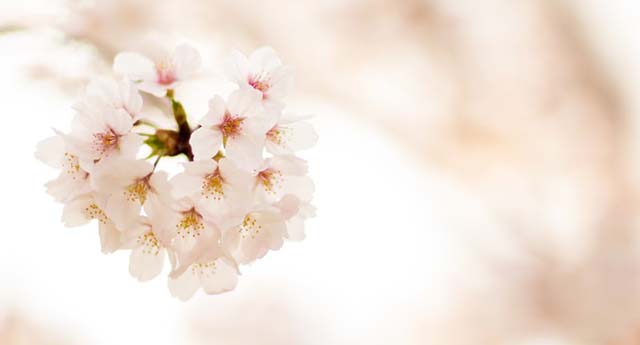 呼びかけに耳を澄まして　　　 S・R