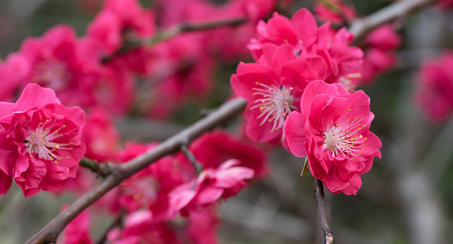 だから目を覚ましていなさい 　片柳榮一