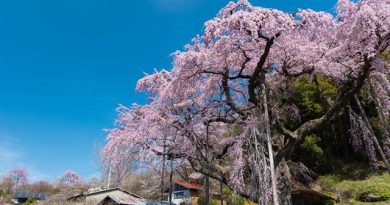 反転の時代に問われていること　 K・T