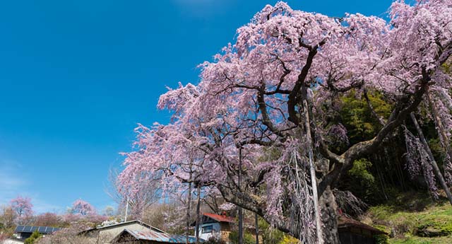 反転の時代に問われていること　 K・T