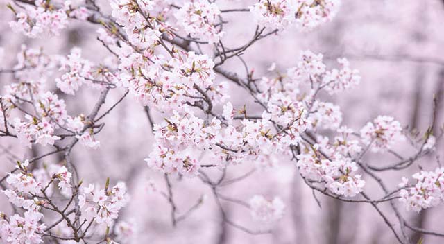 2025年度京阪神共助会修養会報告　　下村 喜八