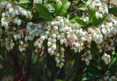 「関わること」を願い求めて　　江村 悠子