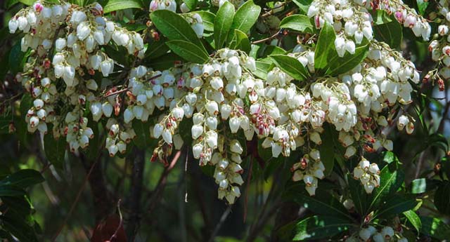 「関わること」を願い求めて　　江村 悠子