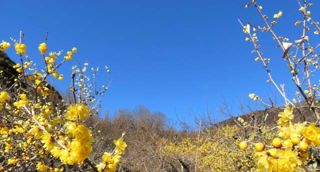 キリストが歩まれている道　　　　　　　　　飯島　信